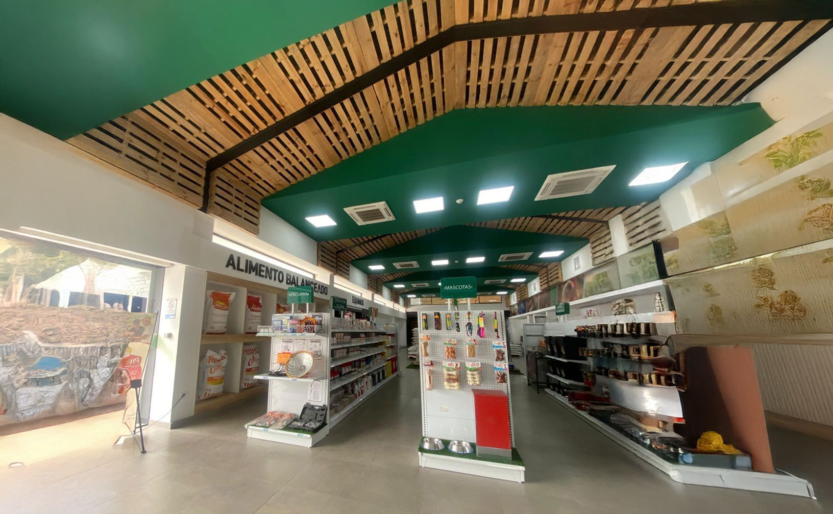 AREA COMUNAL PLAYA COAQUE 01